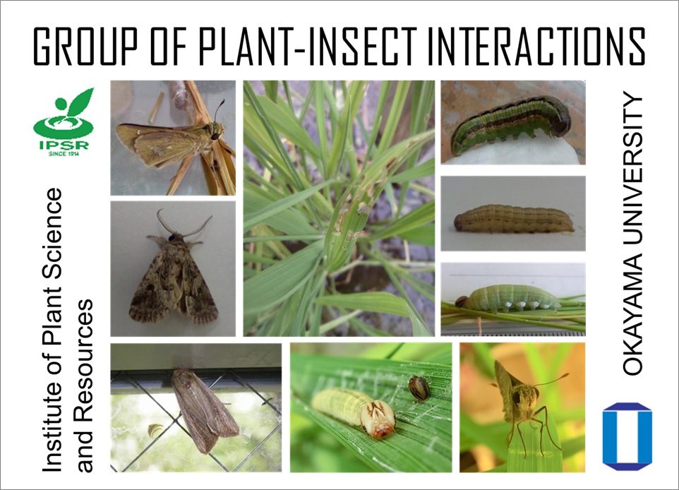 Plant-Insect Interactions - Graduate School of Environmental, Life ...