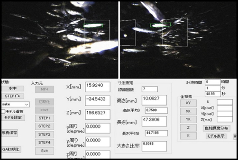 サケの稚魚の夜間自動計測実証実験に成功―照明装置付き複眼水中カメラを用いて自動計測が可能に―