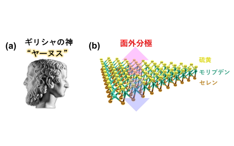 ヤーヌス構造をもつ二次元半導体の生成と生成過程の解析に成功～二次元半導体の新しいデバイス応用展開に期待～