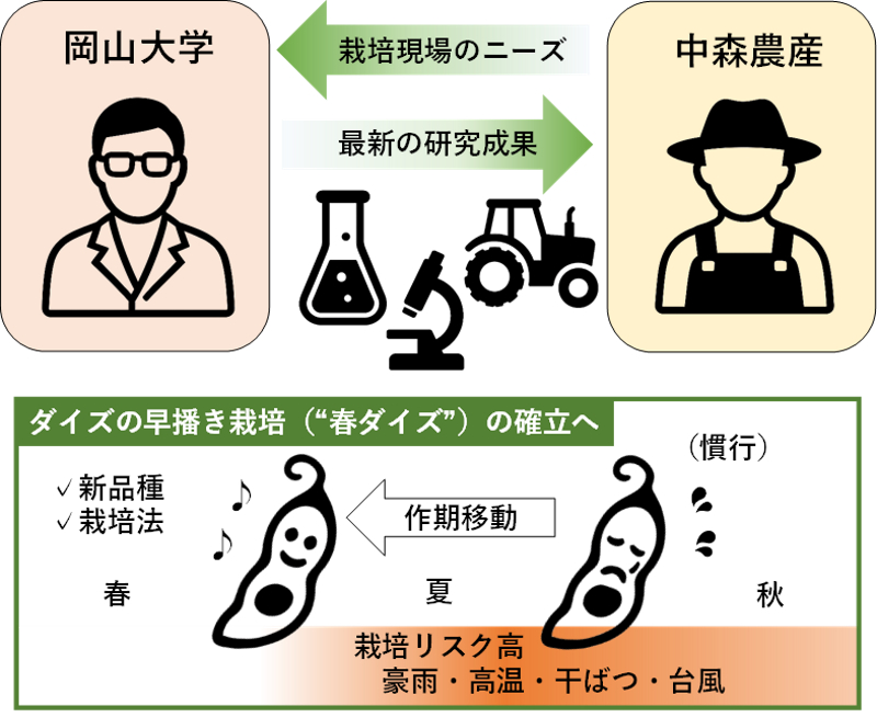 ダイズの生産向上へ大学と農業法人がタッグ－新たな栽培法や品種育成へ－