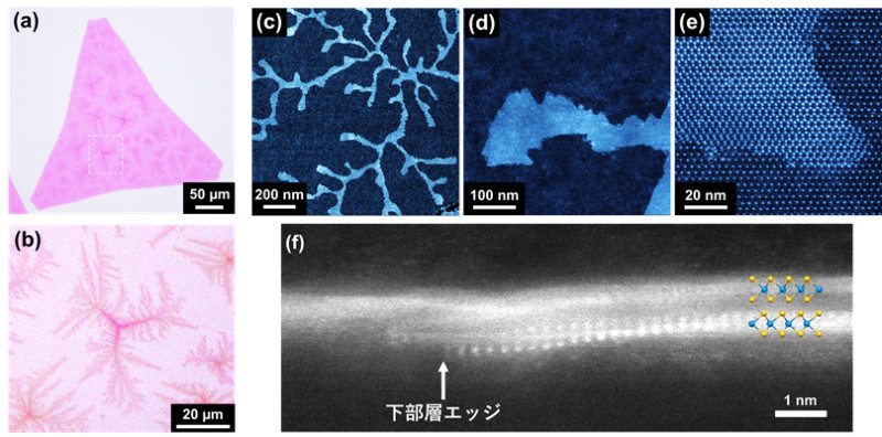 二次元半導体ナノネットワーク構造の合成法開発に成功～次世代の水素発生触媒の応用に期待～