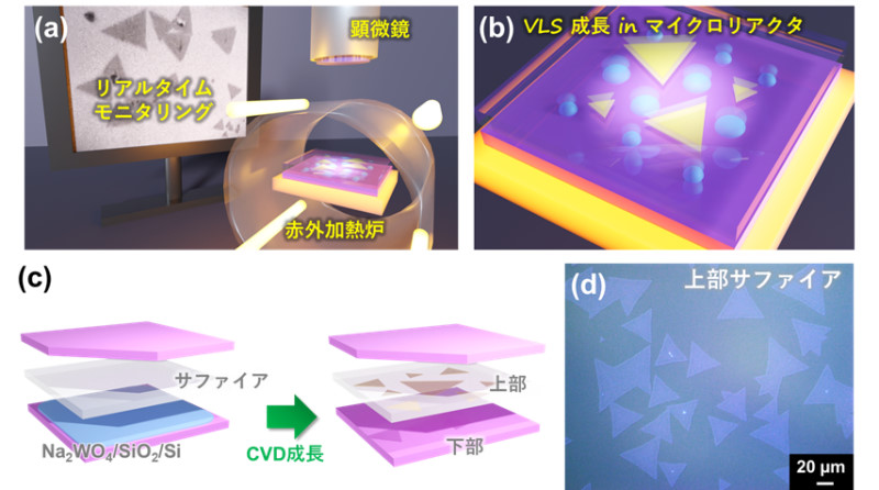 二次元半導体の成長過程のリアルタイム観測に成功～次世代半導体材料の高品質化に期待～