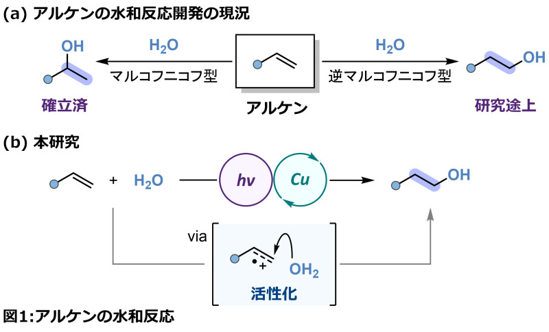 アルケンと水からアルコールを合成　銅と光を用いたクリーンな合成手法の開発に成功